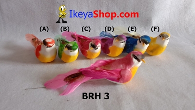 BRH 3 a  large2